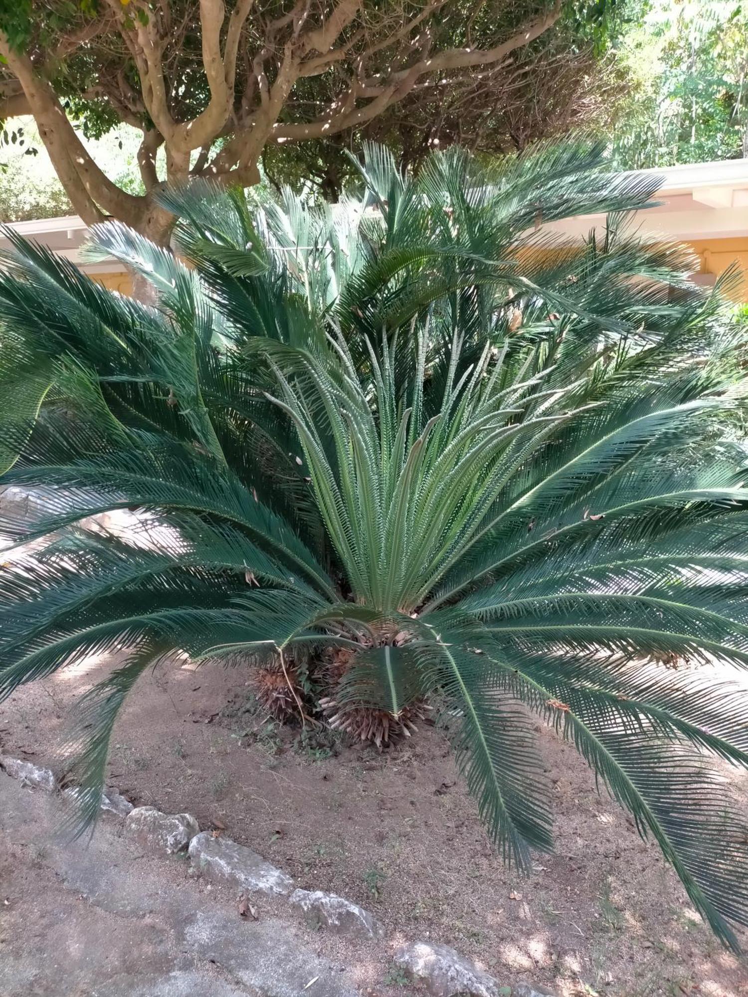 Resort Villaggio Athragon